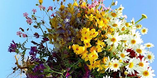 Imagem principal do evento Flowers on the Farm: Botanical Bouquets