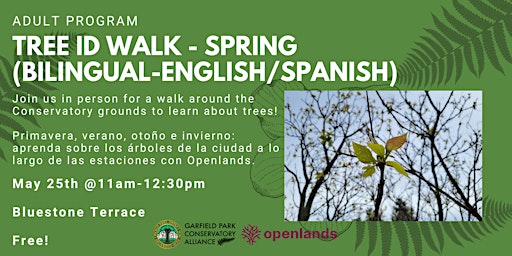 Tree ID Walk - Spring(Bilingual-English/Spanish) primary image