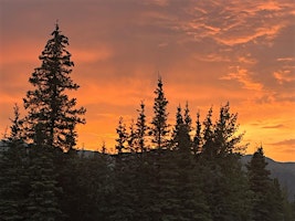 Imagem principal de Teacher Workshop:  The Nature of Fire in Alaska - Project Learning Tree