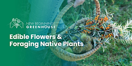 Edible Flowers & Foraging Native Plants
