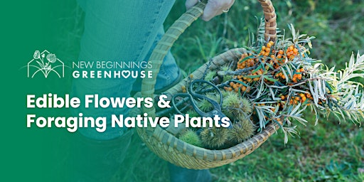 Imagem principal do evento Edible Flowers & Foraging Native Plants