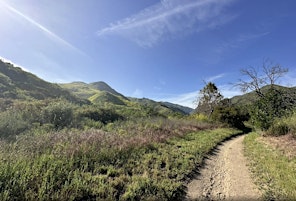 Imagem principal de Atid Outdoors: Ocean and Canyon View Trail Malibu!