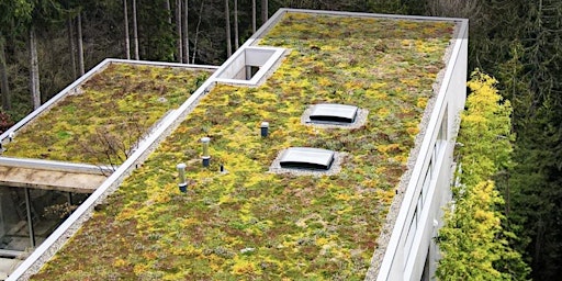 Hauptbild für BUILD A SQUARE-FOOT GREEN ROOF  !  With experts in sustainable building