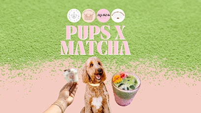 Pups x Matcha Pop-Up