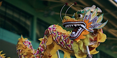 Hauptbild für Dragon Boat Festival
