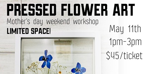 Imagem principal do evento Pressed Flower Art Workshop