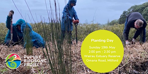 Wairau Estuary Reserve Planting Day primary image