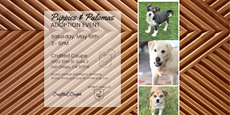 Puppies & Palomas at Crafted Coupe North Park