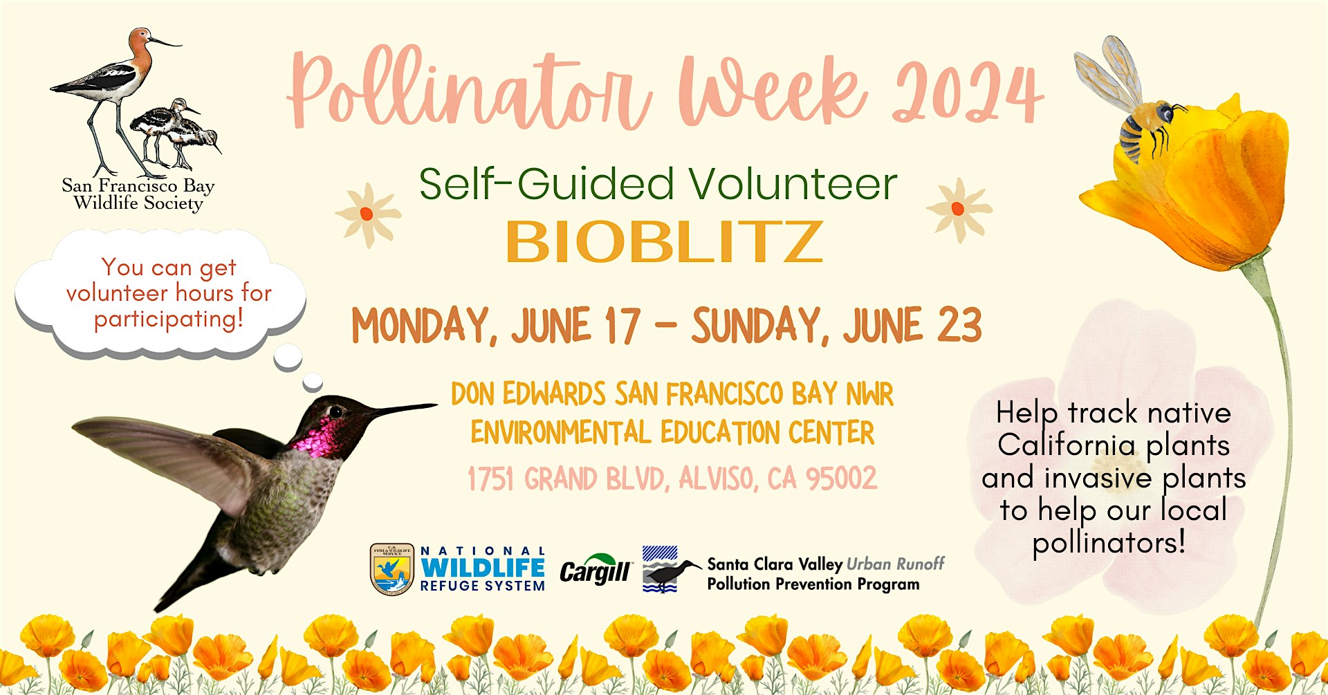 Pollinator Week 2024: Self-Guided Volunteer BioBlitz at the Refuge