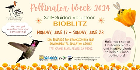 Pollinator Week 2024: Self-Guided Volunteer BioBlitz at the Refuge