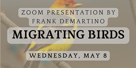 Migrating Birds with Frank DeMartino
