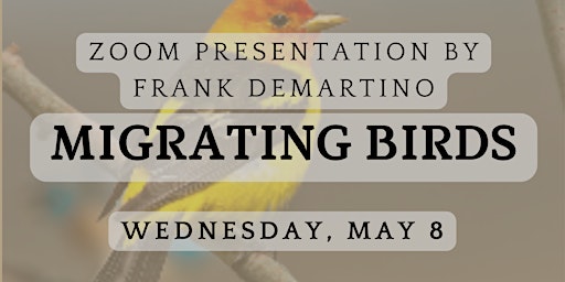 Migrating Birds with Frank DeMartino primary image