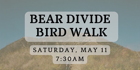 Bird Walk at Bear Divide
