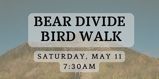 Bird Walk at Bear Divide