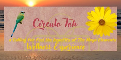 Imagem principal do evento Círculo Toh Mayan Clay and Honey Wellness Experience