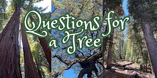 Primaire afbeelding van Questions for a Tree: An Honors in the Arts  x  Earth Systems Capstone