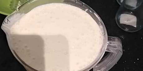 Making A2 organic milk kefir