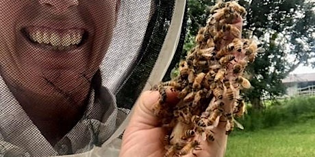 Green Thumb: Keeping Bees, Creating Honey