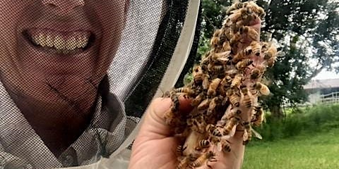 Imagen principal de Green Thumb: Keeping Bees, Creating Honey