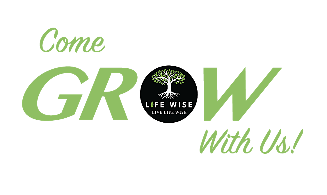 Life Wise Regional Vision Tour