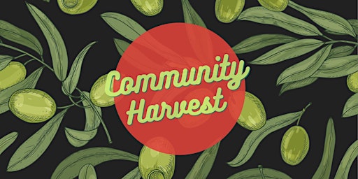 Hauptbild für Olive Curing Workshop presented by Community Harvest & Canning Show