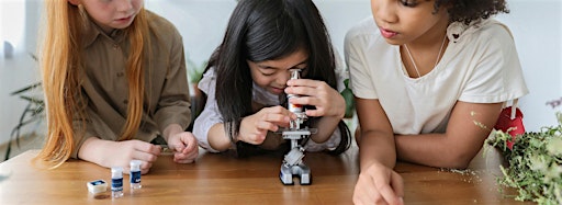 Collection image for STEM After School