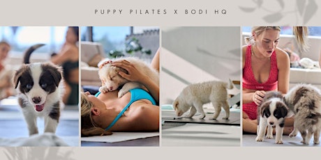 Puppy Pilates- Thurs 9th May