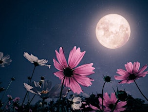 Flower full moon lunar reiki women's healing circle