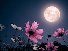 Primaire afbeelding van Flower full moon women's healing circle
