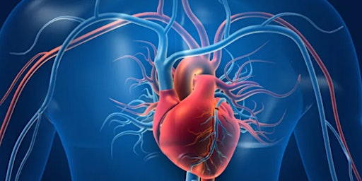 Hauptbild für Shroom IQ Heart Gummies: Experience Heart-Healthy Benefits in Every Bite