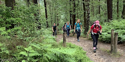 Marston Vale Park &  Woburn Forest Hike - 20km - Bedfordshire (Women Only) primary image