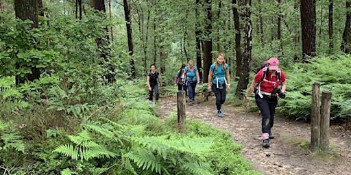 Marston Vale Park &  Woburn Forest Hike - 20km - Bedfordshire (Women Only) primary image