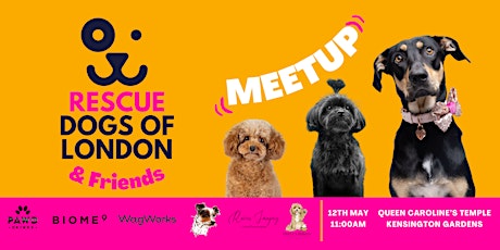 Rescue Dogs of London & Friends Meetup