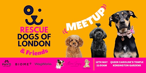 Primaire afbeelding van Rescue Dogs of London & Friends Meetup