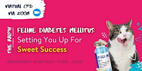 Feline Diabetes Mellitus: Setting You Up For Sweet Success