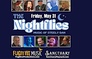 Imagem principal do evento The Nightflies