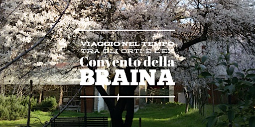 Primaire afbeelding van Viaggio nel tempo: dentro l'ex convento della Braina con Anna Brini