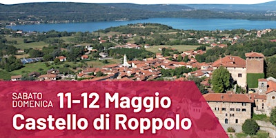 Immagine principale di Navetta gratuita Roppolo-Magnano e ritorno Vermogno-Magnano 
