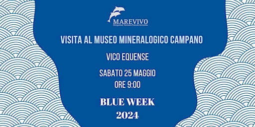 Imagem principal do evento Visita al Museo Mineralogico Campano