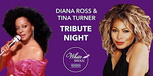Imagem principal do evento Tina Turner & Diana Ross Tribute Night