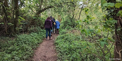 Nature Walk for Wellbeing primary image