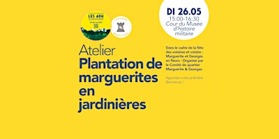 Hauptbild für Plantation de marguerites en jardinières