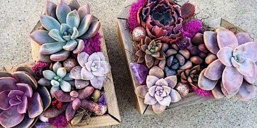 Grow Your heart with confidence - Succulent Workshop Party primary image