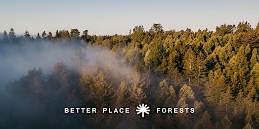 Immagine principale di Better Place Forests Point Arena Memorial Forest Open House 