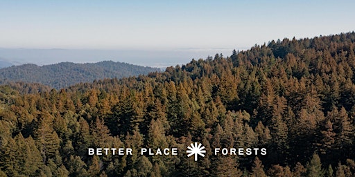 Hauptbild für Better Place Forests Santa Cruz Memorial Forest Open House