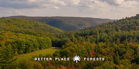 Better Place Forests Berkshires Memorial Forest Open House