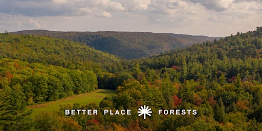 Better Place Forests Berkshires Memorial Forest Open House primary image