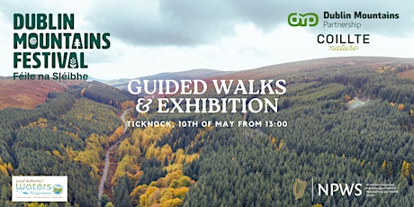 Coillte Nature Walk & Exhibition