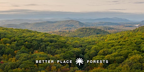 Better Place Forests Litchfield Hills Memorial Forest Open House