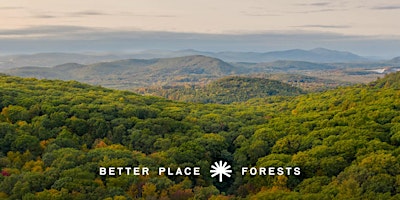 Primaire afbeelding van Better Place Forests Litchfield Hills Memorial Forest Open House